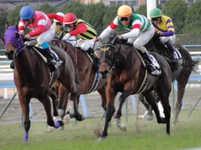 春のグランプリ宝塚記念2019はもうすぐ そんな宝塚記念を解説 ロックさん